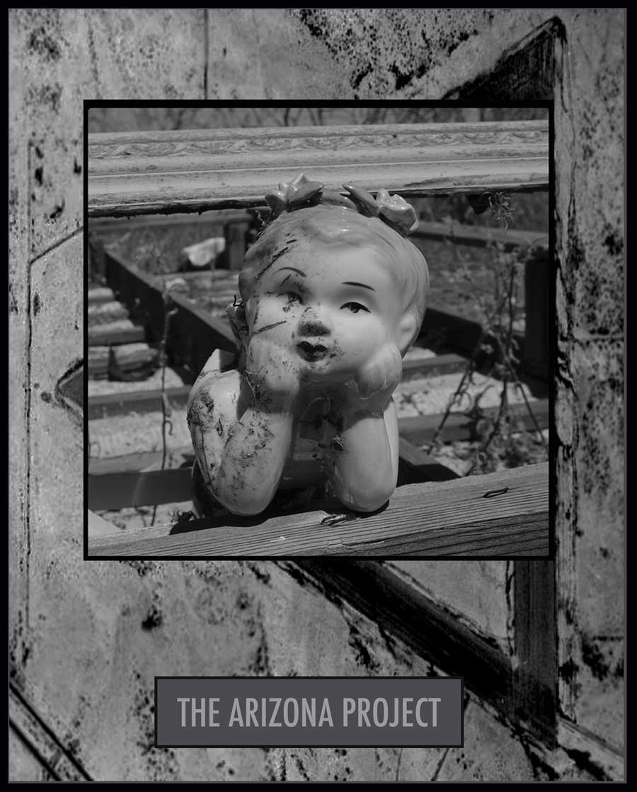 Project Arizona